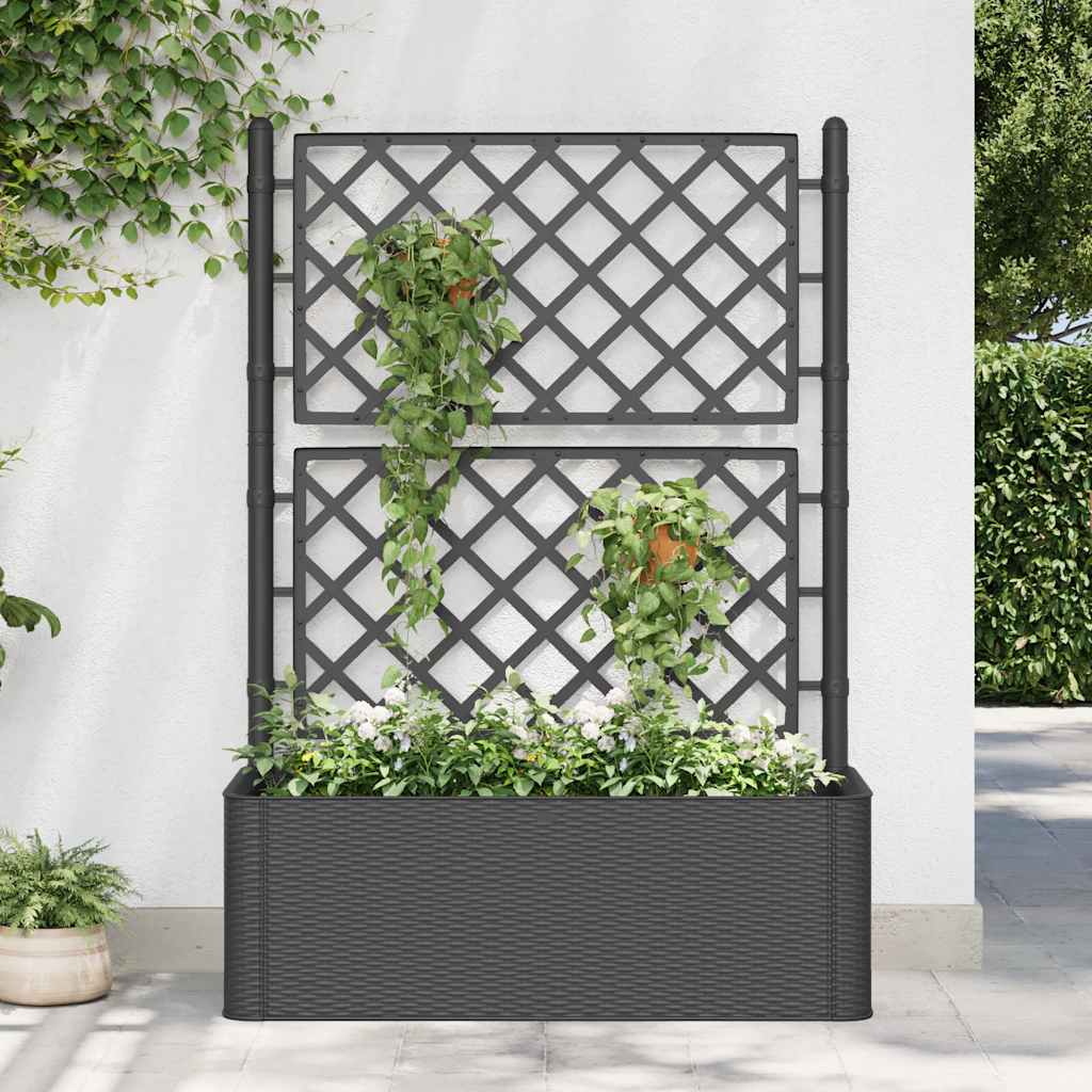 vidaXL Garden Raised Bed with Trellis and Self Watering System Anthracite Anthracite