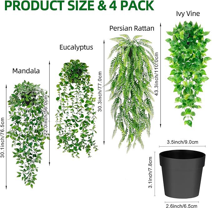 monstera deliciosa xxl kaufen Fensterblatt - Monstera Deliciosa XXL - 150cm main image 1
