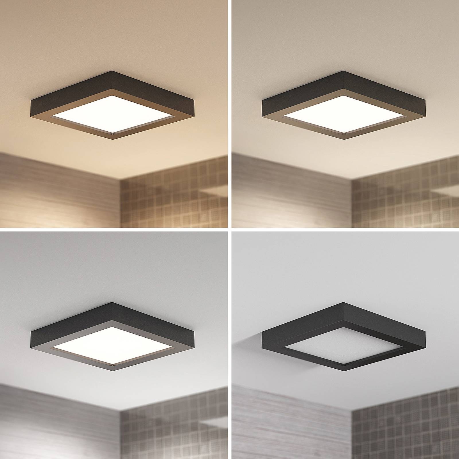 Prios Mazin Plafoniera LED, IP44, CCT, 24 W -Negozio al dettaglio Paulmann AAHKMJXYDAFdJAOAIMEbOAchvhBeHsgEop8XgsL4wc6YAH2hOhk0B1zWjsKb0XIfKTSfAuy8Rb4OGUkCldukZK0Vfok2rwVoTqvDWh8MW 3X2AaVUkzWyR4dnP0okcPnwA6 Sw6Mq9V2OFQfqvH9ULujhEClYQMzHh9MwafCl84T1Q==