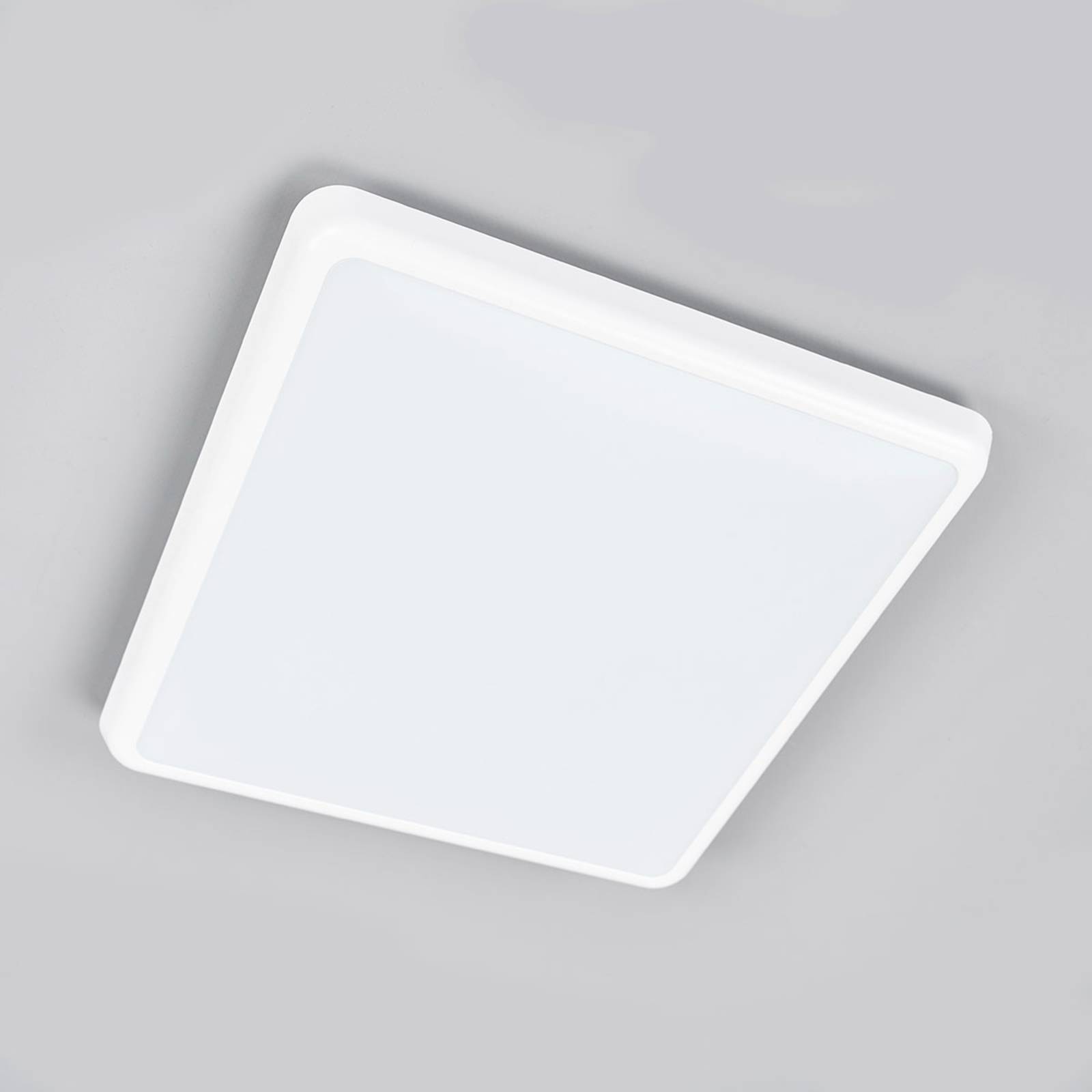 Arcchio Augustin Essenziale Plafoniera LED IP54 -Negozio al dettaglio Paulmann AAHKMJXYDAFdJAOAIMEbOAchvhBeHsgEop8XgsL4wc6YAOsbGDkpokAXovpFVgLPbUCprNZTl m7HvM k2u70WnuVdReGnb zCDU7