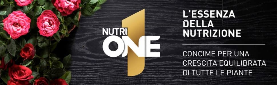 style=margin-left:auto;margin-right:auto;