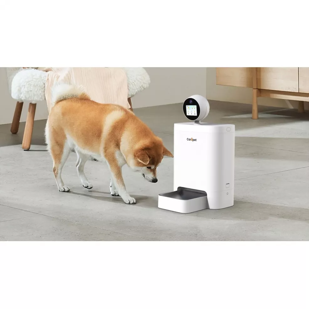 Carepet feeder interazione video