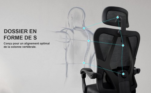 Chaise de bureau ergonomique