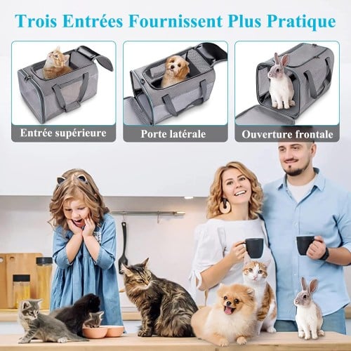 Sac De Transport Pour Animal Chien Chat Avec Bandoulière Réglable, Caisse De Transport Respirant Et Pliable - 453030cm - Gris -Promos Patto Chou Boutique AAHKMJXYDAFdJAOAIMEbOAchxxmgmvIItZS6o7wq5RbzOezTYu Su7VNV bILW8E32j1EjThAIaSDXLNVKhoEqo5V7Fq6Hs QtPVdJFeiC1ZWBO hI6FGuBY7 ycMnKQM0=