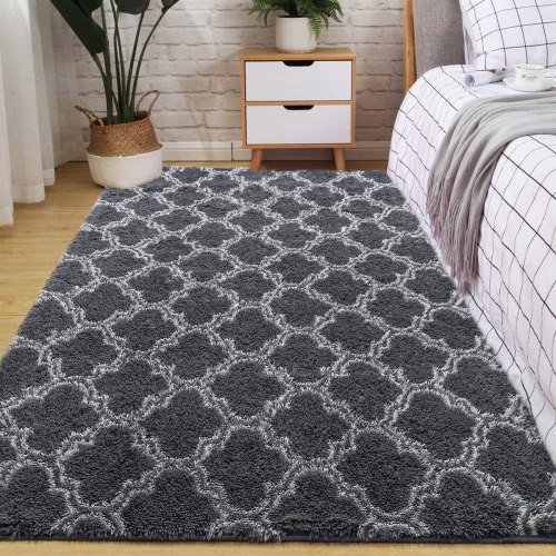Tapis Salon Shaggy 5