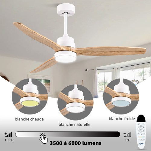 ✨ Ventilateur Plafond avec Lumière – 3 Températures de Couleur & 3500-6000 Lumens Réglables ✨ Cliquez pour transformer votre salon en un espace lumineux et frais dès aujourd’hui !