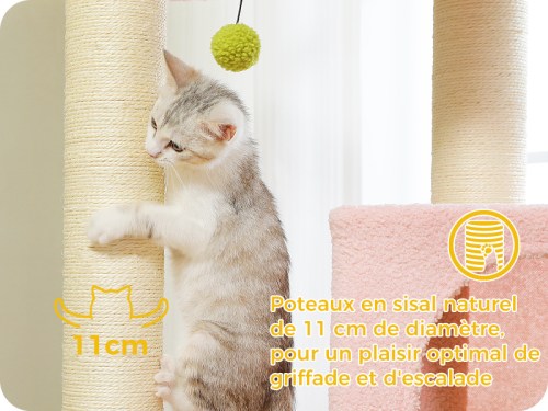 Détails de l'arbre à chat