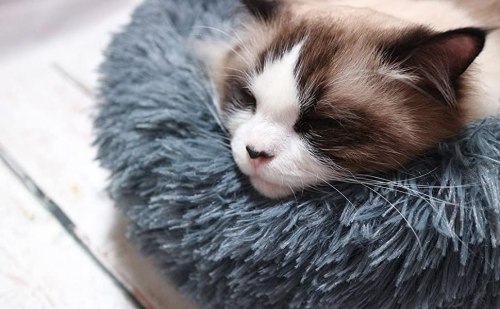 Couchage Chat Panier pour chat/chien Rond en Peluche pour et Confortable-Gris Foncé