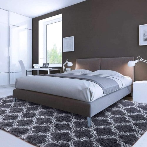 Tapis Salon Shaggy 4