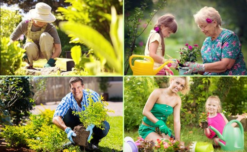 Attrezzi Da Giardinaggio, Kit Da Giardinaggio 9 In 1 Strumenti Per Bonsai Per La Cura Delle Piante Da Interno Ed Esterno, Regalo Da Giardino -Negozio al dettaglio Piante Casa AAHKMJXYDAFdJAOAIMEbOAchxxmgmvIItZS6o7wq5RbzOezTYu Su7VNV