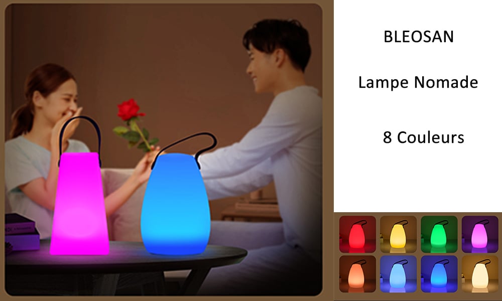 Lampe de Table LED Veilleuse Portable Nomade Lampe de Chevet Portative LED  Rechargeable sans Fil Multicolore Pour Jardin Extérieur - Cdiscount Maison