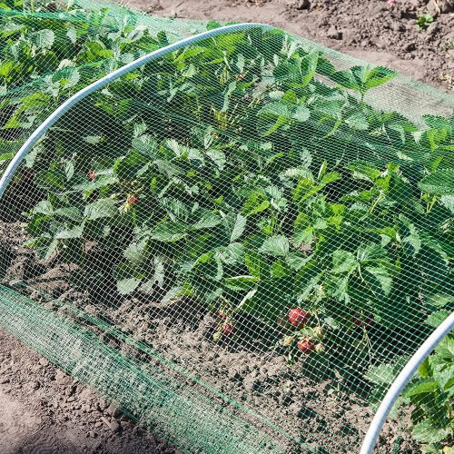 class=wp-image-2235974