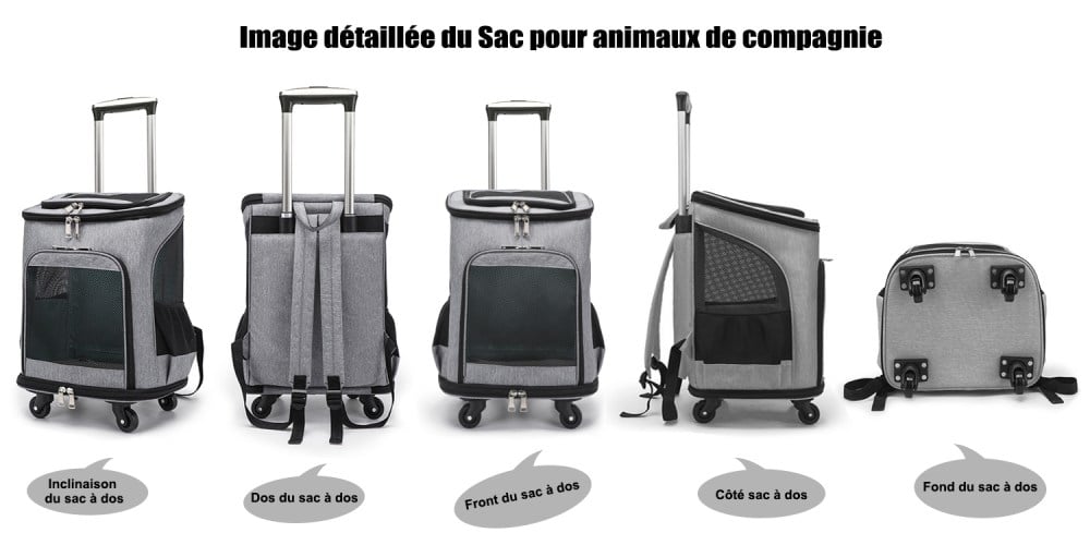 2 En 1 Sac à Dos Pliable Sac De Transport à Roulettes Pour Chien Chat Animaux - Gris - Trolley Chariot -Promos Patto Chou Boutique AAHKMJXYDAFdJAOAIMEbOAchxxmgmvIItZS6o7wq5RbzOezTYu Su7VNV bILW8E32j1EjThAIaSDXLNVKhoEqoa3vAc 6pmBsvH5OV3FcJ0q 5pz LQzaEtbY4K6u Gmo=