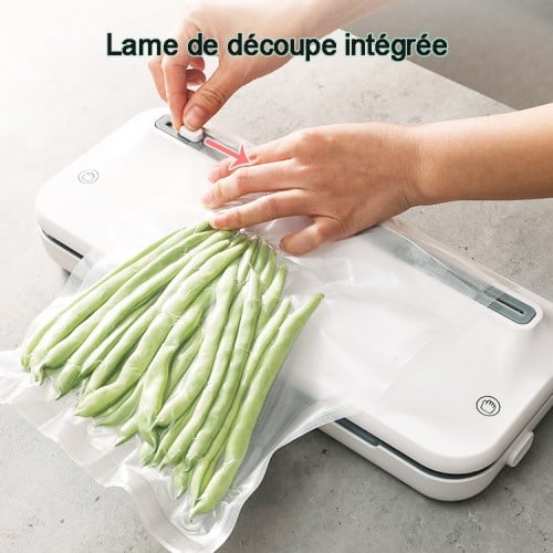 Machine Sous Vide Alimentaire 3 En 1 Magicfox - Machine De Scellage Pour La Conservation Des Aliments - Sacs Et Rouleau Sous Vide Inclus -Petit Électroménager AAHKMJXYDAFdJAOAIMEbOAchxxmgmvIItZS6o7wq5RbzOezTYu Su7VNV