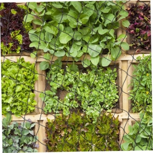 class=wp-image-2235949