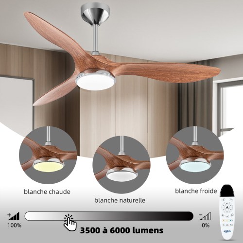 Ventilateur lumineux silencieux avec réglage de température de couleur et luminosité