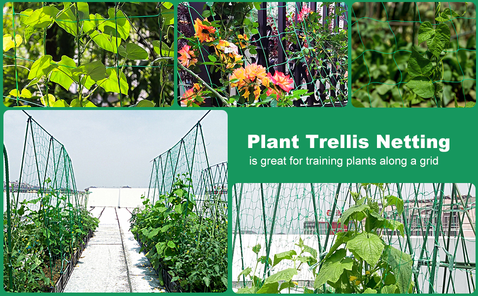 class=wp-image-2235934