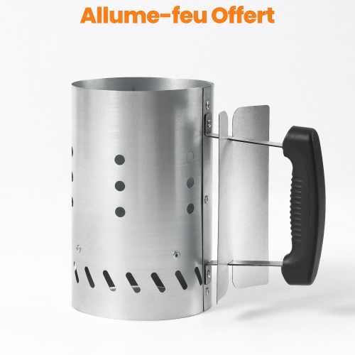 Cheminée d'allumage barbecue