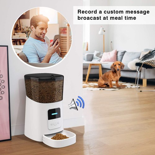 Distributeur De Croquettes Automatique Pour Chien Chat - LEXLIFE 6L Avec Contrôle APP - 15 Repas Par Jour - Blanc -Promos Patto Chou Boutique AAHKMJXYDAFdJAOAIMEbOAchxxmgmvIItZS6o7wq5RbzOezTYu Su7VNV
