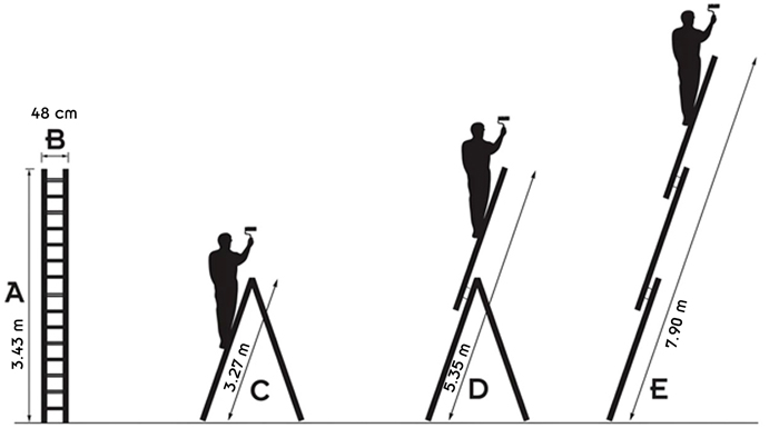 dimensions de l'échelle