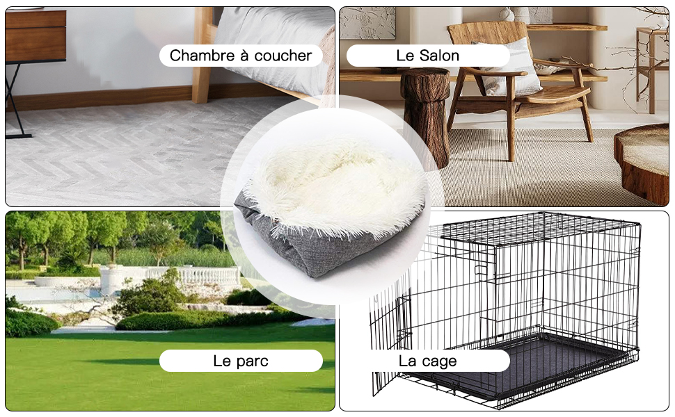 Lit Moelleux Coussin Pour Chat, SDLOGAL, Panier Ultra Doux, Moelleux Et Doux, Fond Antidérapant, En Peluche Lavable, Pour Chaton, Petit Chien, Lapin, Pecute -Amis Poils Soldes Boutique AAHKMJXYDAFdJAOAIMEbOAchyxnZbo9Kty7R s5oTT0wTrxv0ZE7 Kg1X6yLotYOCKUY337aJZzY6V9E7CxPQ968WhKJnitAU7K2RM HW H9
