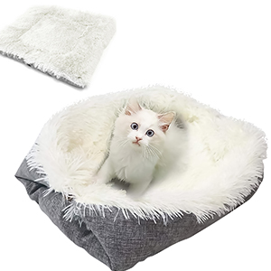 Lit Moelleux Coussin Pour Chat, SDLOGAL, Panier Ultra Doux, Moelleux Et Doux, Fond Antidérapant, En Peluche Lavable, Pour Chaton, Petit Chien, Lapin, Pecute -Amis Poils Soldes Boutique AAHKMJXYDAFdJAOAIMEbOAchyxnZbo9Kty7R s5oTT0wTrxv0ZE7 Kg1X6yLotYOCKUY337aJZzY6V9E7CxPQ968vsOQEjnXhppJPU469m81WuzxTa1Oe7 YqOIMN6j4jdE=