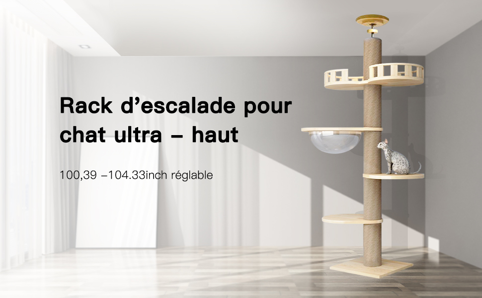 Grand Arbre à Chat En Bois, SDLOGAL, Tour De Jeu 265 Cm, Avec 5 Plateformes Et Corbeille, Jouet Pour Chat, Pour Chats Et Chatons -Amis Poils Soldes Boutique AAHKMJXYDAFdJAOAIMEbOAchyxnZbo9Kty7R s5oTT0wTrxv0ZE7 Kg1X6yLotYOCKVczqd2w2r28CsUhVJluvRH8Vfo8kZen3nzKnr7tMMjYCKK5pGve4KZQ2 OaLCQnLc=