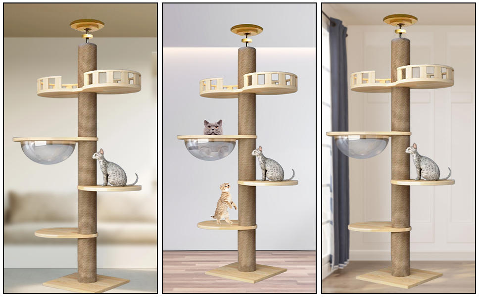 Grand Arbre à Chat En Bois, SDLOGAL, Tour De Jeu 265 Cm, Avec 5 Plateformes Et Corbeille, Jouet Pour Chat, Pour Chats Et Chatons -Amis Poils Soldes Boutique AAHKMJXYDAFdJAOAIMEbOAchyxnZbo9Kty7R s5oTT0wTrxv0ZE7 Kg1X6yLotYOCKVczqd2w2r28CsUhVJluvRHfx3PDCTbeZYKSWUnMU6ZS mF uaUuNuJWKT