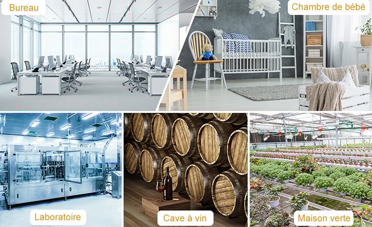 Thermomètre Hygromètre Numérique SDLOGAL, Thermomètre Hygrometre Intérieur Et Extérieur, Avec Capteur Extérieure Sans Fil, Rétroéclairage LCD ℃/℉, Pour Bureau, Maison, Chambre - Noir -Promos Brico Forte Boutique AAHKMJXYDAFdJAOAIMEbOAchyxnZbo9Kty7R s5oTT0wTrxv0ZE7 Kg1X6yLotYOCKVqnBSXHKsk9bz92QLGOHVjG RMn1wqxYhvTlUkiGjsJZ1efBik9tnMN8 Y3TJZ0RI=