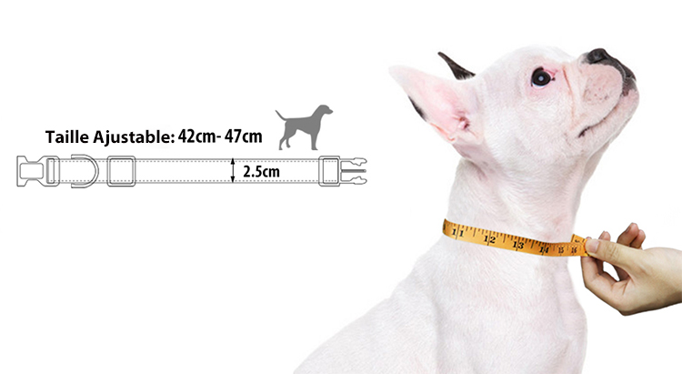 Collier Pour Chien, Bandes Réfléchissantes Nocturne Collier Confortable Et Souple Réglable, Pour Les Chiens De Petite Et Moyenne -Promos Patto Chou Boutique AAHKMJXYDAFdJAOAIMEbOAchyxnZbo9Kty7R s5oTT0wTrxv0ZE7