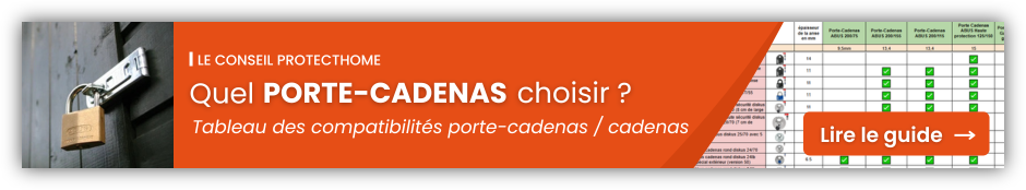 quel porte cadenas choisir pour mon cadenas