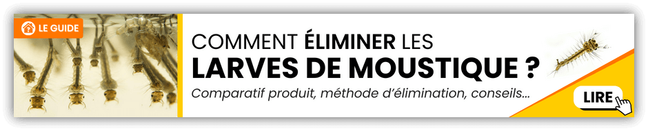 eliminer larve de moustique