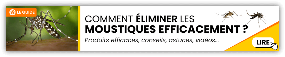 eliminer les moustiques
