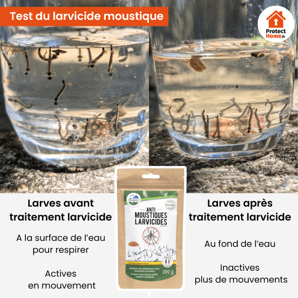 Test larvicide moustique
