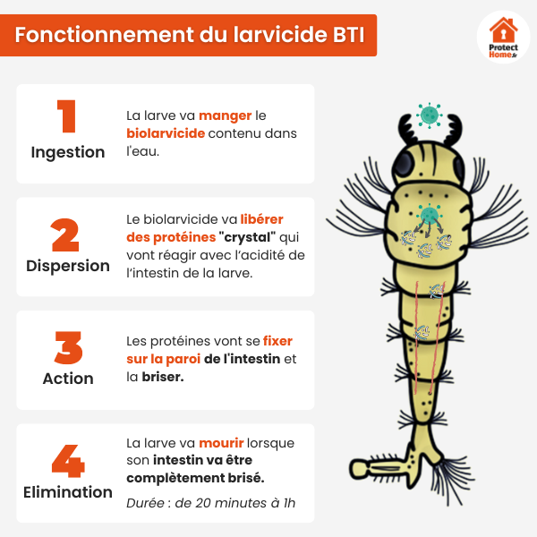 comment fonctionne le larvicide bti explication