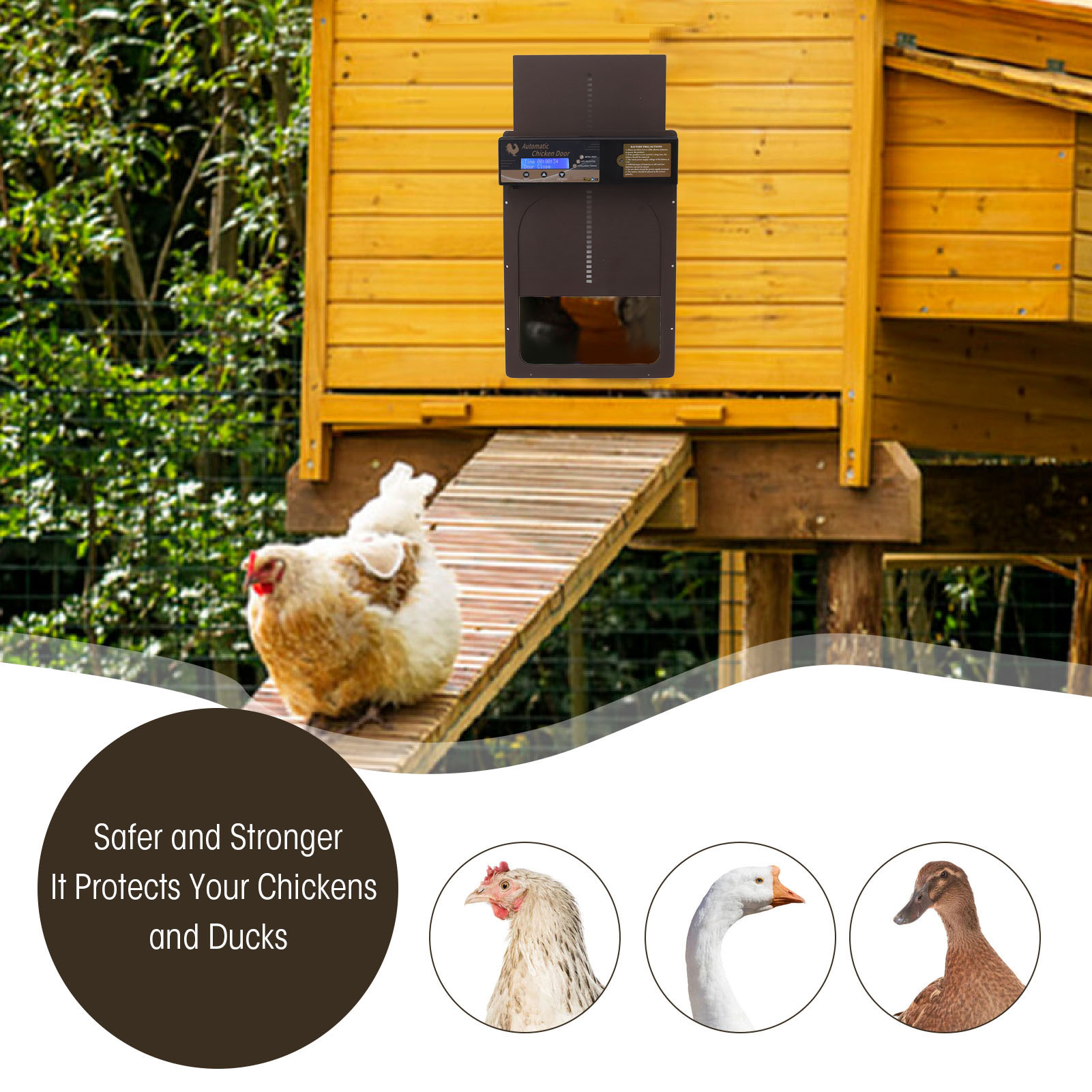 host de la imagen