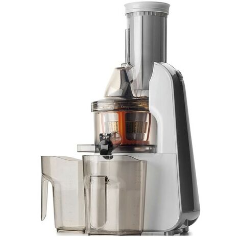 Extracteur de jus lent, Puissance 240W, Capacité 1 litre, Gris