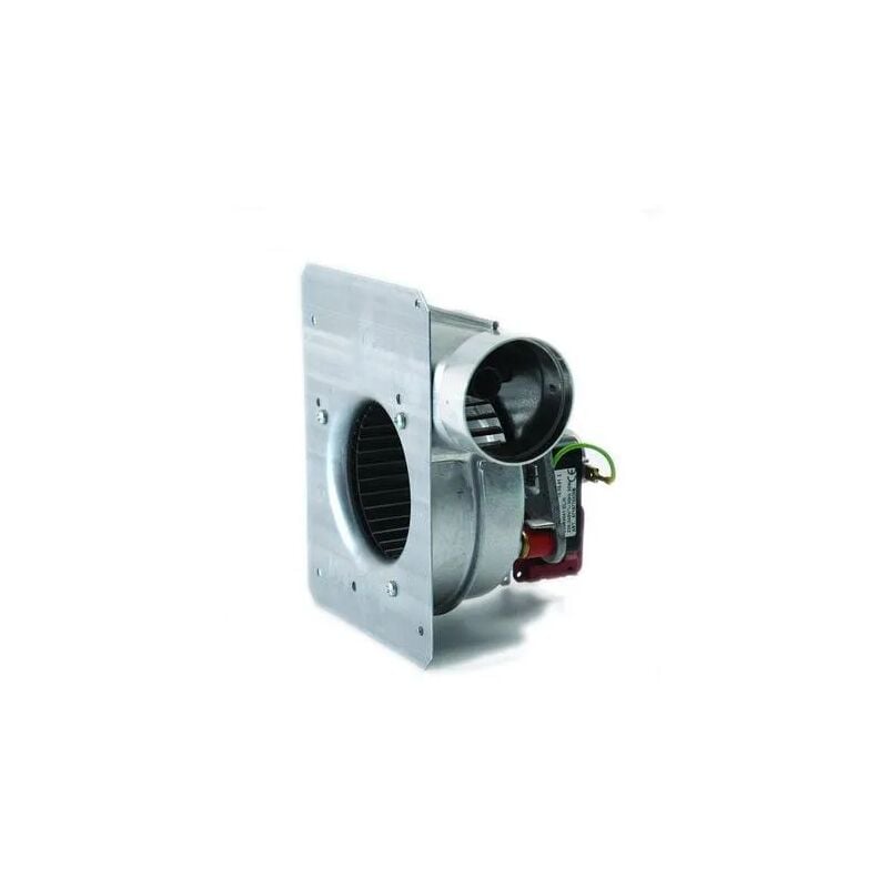 

Elm Leblanc - Extractor ACLEA