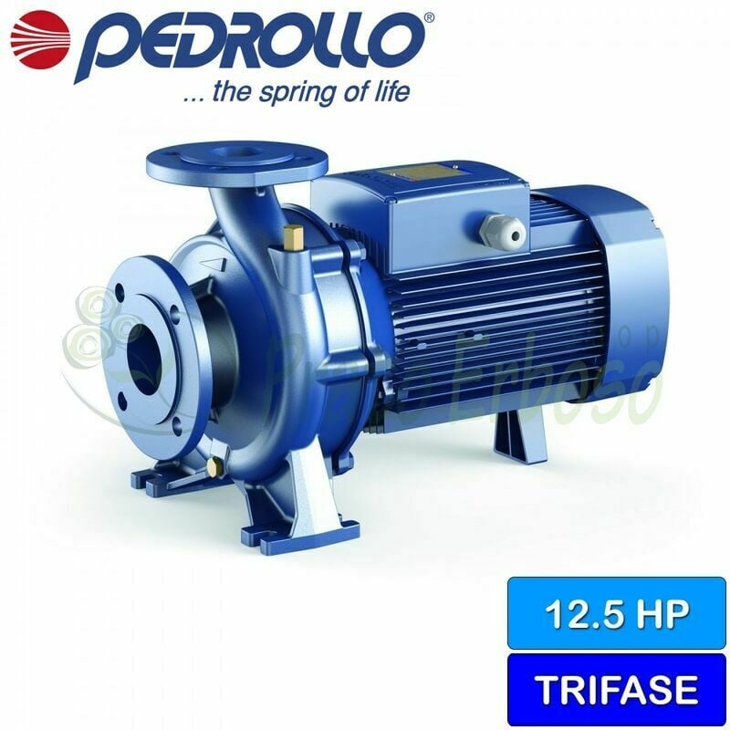 

Pedrollo - F 40/250C - centrífuga de la Bomba eléctrica de la normalizado de tres fases