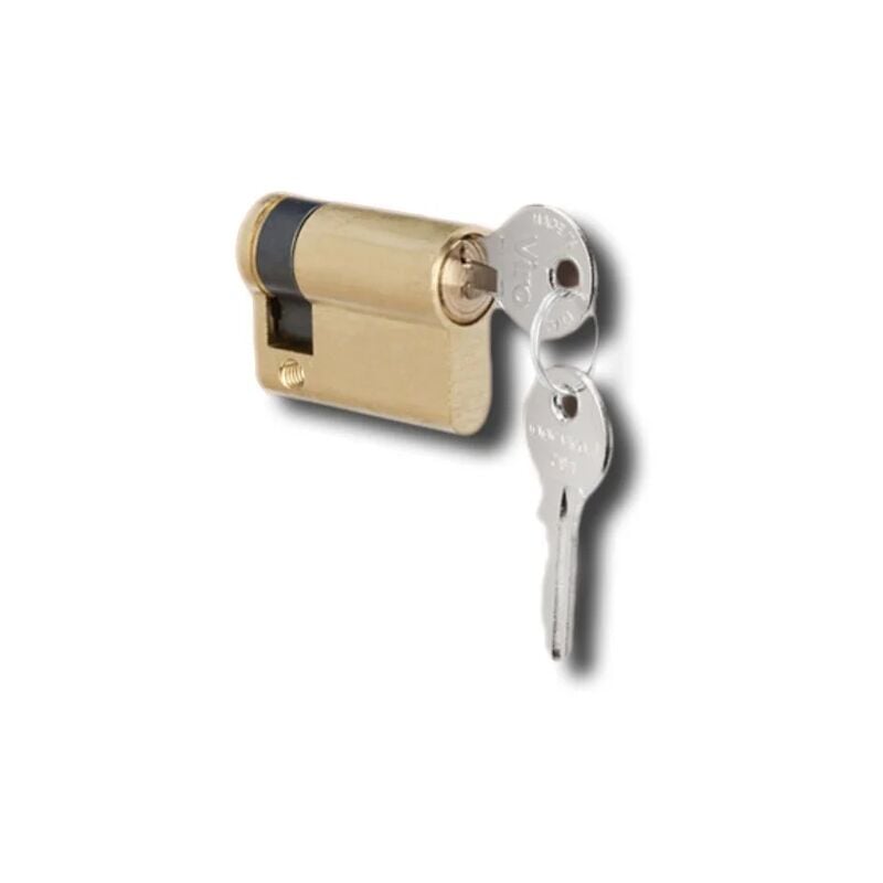 Faac - serrure à cylindre européen pour t20 t21 712052