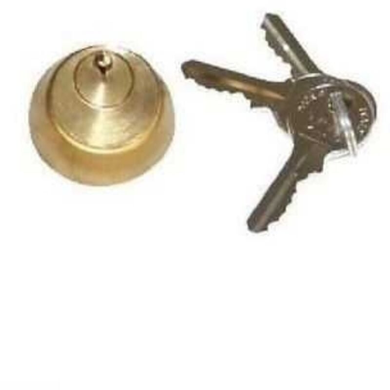 Cylindre interne avec 2 clé pour serrure électrique 712651001/36 - Faac