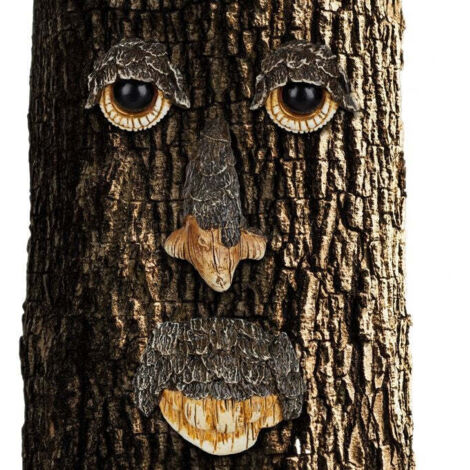 Faccia dell'albero Spirito della natura