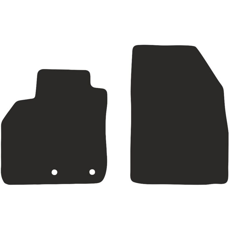 Face avant BASIC pour : monospace Renault Grand Scenic III 2009-2016