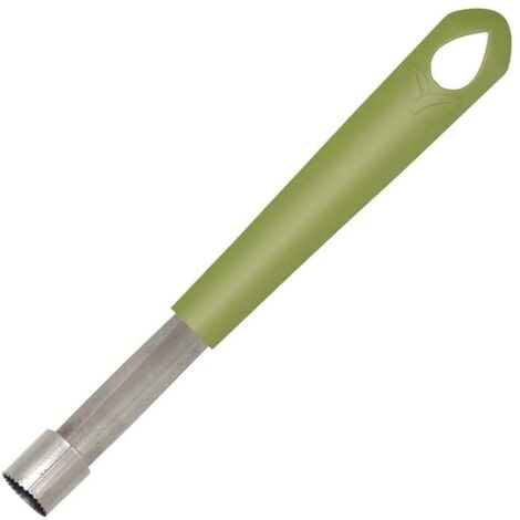 Fackelmann 687064 - Svuotamele con manico in plastica ecosurcata, per rimuovere i pepini, acciaio inossidabile, plastica biologica, 20,5 x 2,5 cm