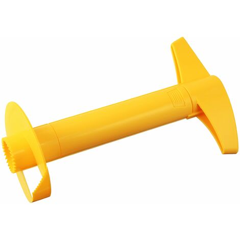 Fackelmann Svuota Ananas in plastica, Multicolore