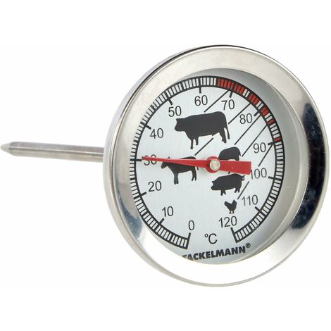 Fackelmann Termometro per Carne, Acciaio Inox, Argento, 11 cm