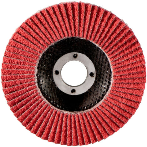 Fächerschleifscheibe 125 mm P 60, FS-CER Metabo