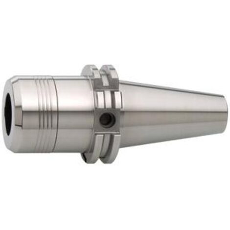 FAHRION Spannzangenfutter DIN69871ADB SK40-100 CP16