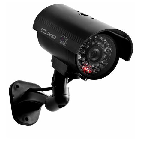 motion sensor light with fake camera