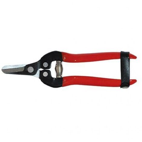 Falci forbici cogliagrumi 16 cm per agrumi con lama curva manici in pvc e chiusura in cuoio